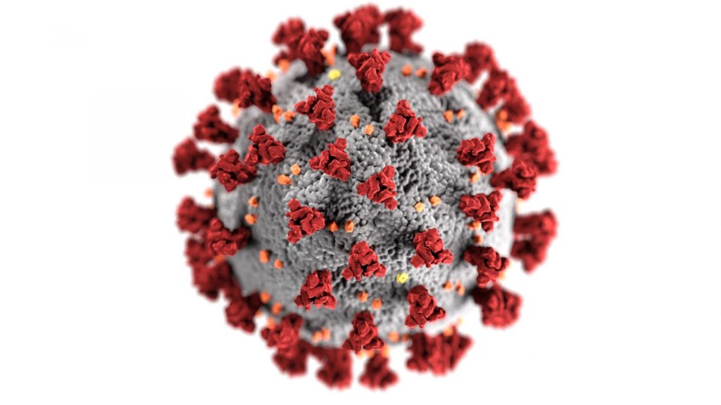 coronavirus cdc